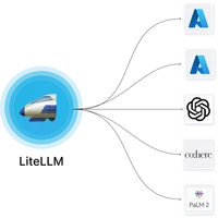 Litellm